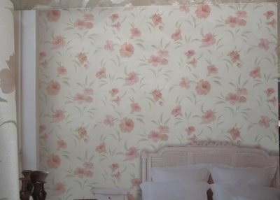 无纺布壁纸 优缺点全面解析，为您的家居选择提供参考